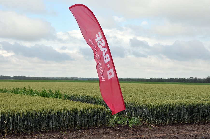 BASF1