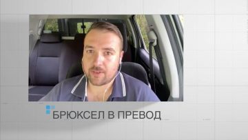 Брюксел в превод_ Голямата смъртност при пчелите – анализ на причините, автор_ Валентина Спасова.mp4_snapshot_03.42.246