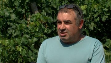 grozde ploski agrotema.mp4_snapshot_02.35.360