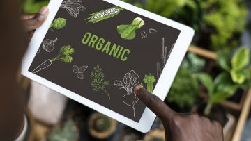 Natural vegetable healthy life superfood