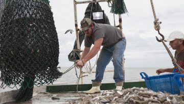 Deckhands on fishing boat
