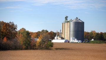 Tall silos in the farm during harvest time
