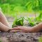A child plants a plant in the garden. Selective focus.