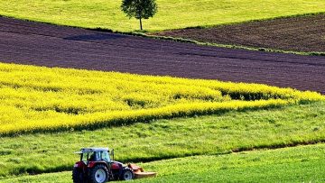 agriculture-1619437_960_720