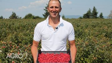 александър нанов малини