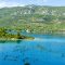 The Oyster Farm,
