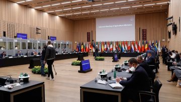 неформална среща минис
