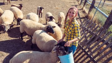 Famer woman with her flock of sheep