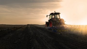 Tractor is preparing the land at dusk