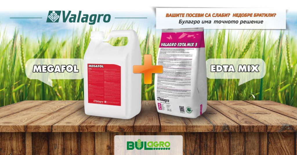 Агрономите на Булагро съветват как да подготвим житните си посеви за успешно презимуване