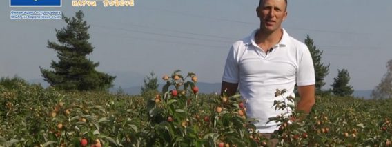 Александър Нанов, производител на биомалини: Определено съм щастлив, че съм биоземеделец