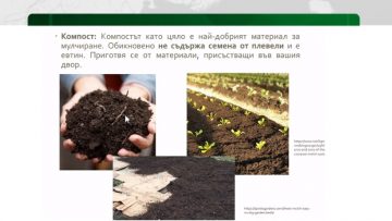 agrotema18