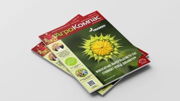Mockups Design