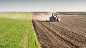preparing land for sowing