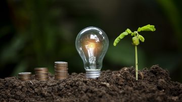 light bulb with plant