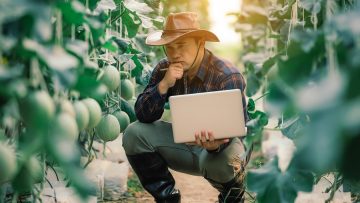 Farming uses modern technology in agriculture. A farmer agronomi