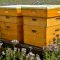 beehive-3703434_960_720