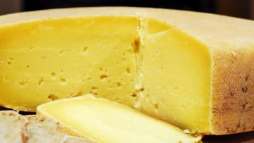 gruyere