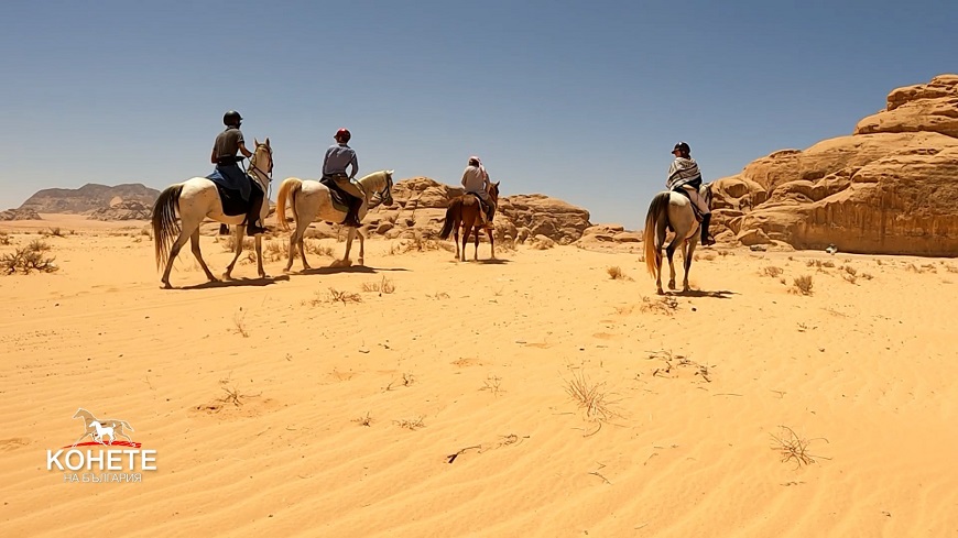 В „Конете на България“ – шарена мозайка от ездачи, коне, копита и гриви