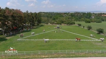 viber_изображение_2022-01-18_10-47-50-916