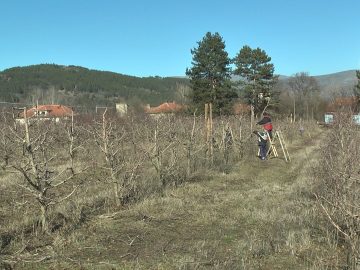 резитба кюстендил
