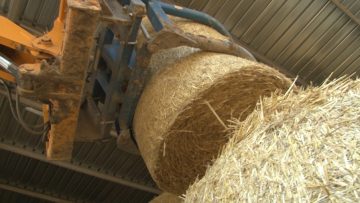 broi 37 Dimcho Rajnov Rusensko12