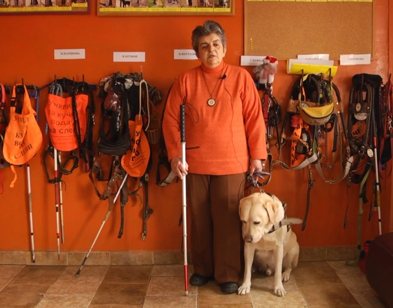 Кучета-водачи даряват незрящите хора със спокойствие, сигурност и подкрепа по техния труден път