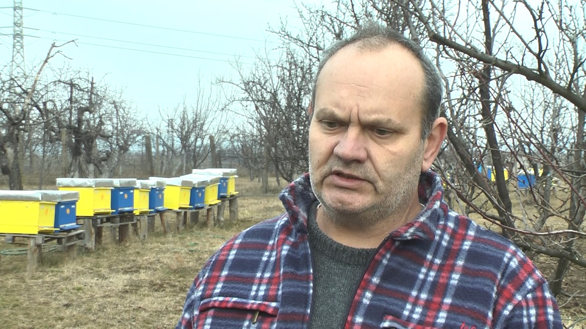 В момента цената на меда в Кюстендилско е около 12 лв. за килограм