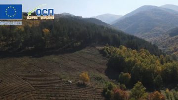 Биото07