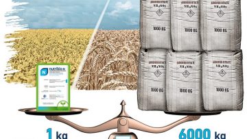 AME_NN_Nutribio-wheat_rapeseed_scale