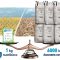 AME_NN_Nutribio-wheat_rapeseed_scale