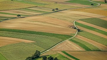 agriculture-3195381_960_720
