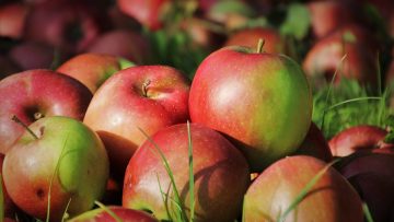 apples-5640909_960_720