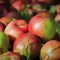 apples-5640909_960_720