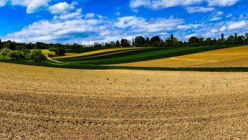 field-3375811_960_720