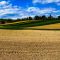 field-3375811_960_720