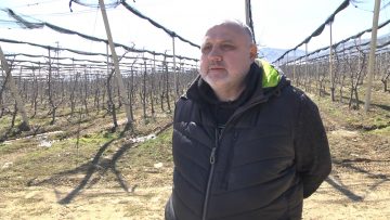 цветан цеков биопройзводител