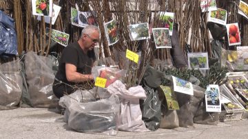 Nedko Nedkov, zemedelski proizvoditel agrotv