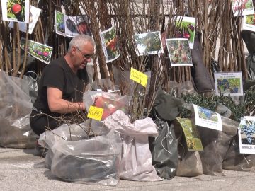 Nedko Nedkov, zemedelski proizvoditel agrotv