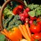 bio-vegetables-agrotv