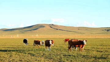 biojivotni-shemi-agrotv