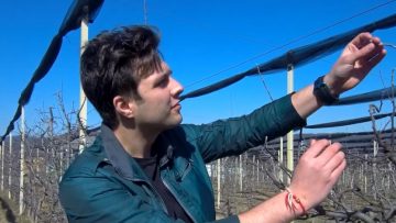 marc-cekov-agrotv