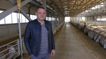 ovtsevadstvo i ovtseferma