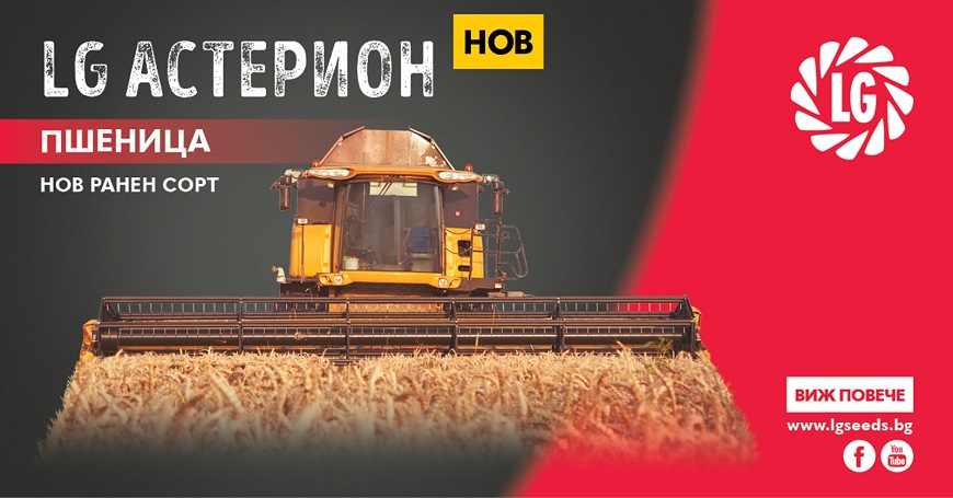 най-новият ранен сорт пшеница – LG АСТЕРИОН