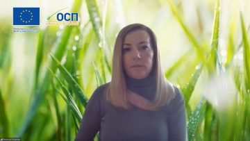 bojura-fidanska-agrotv