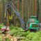 PILSEN CZECH REPUBLIC – NOVEMBER 11: unidentified lumberjack with modern harvestor working in a forest on November 11, 2013. Forestry is Czech’s traditional industry with a very long history.