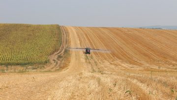 пръскане на стърнище