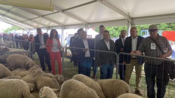 събор арбанаси