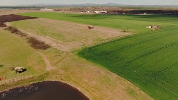 notill-prsr