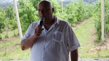 людмил стоянов трихограма